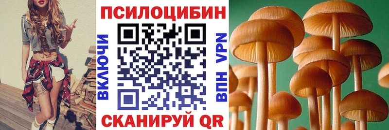 купить  сайты  Каргат  Галлюциногенные грибы мухоморы 