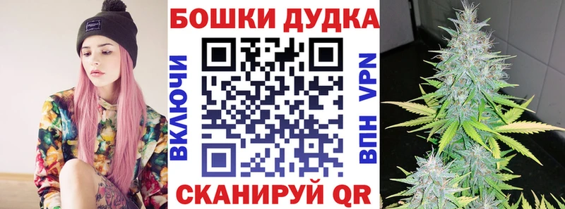 Конопля конопля  Каргат 